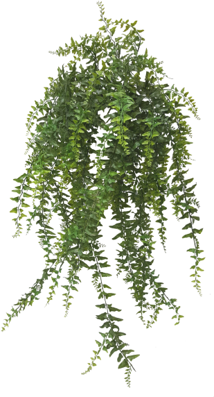 Hanging Plant dwg. | Thousands of free CAD blocks