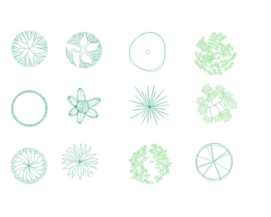 Plants & Trees_4 .dwg | Thousands of free AutoCAD drawings